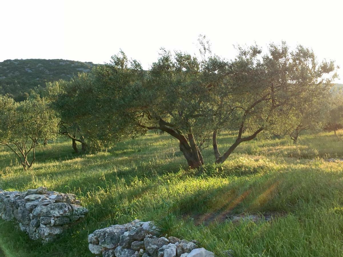 Lavanda Tribunj (Sibenik-Knin) Exterior foto